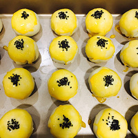 �Լ���������������ĵ�����