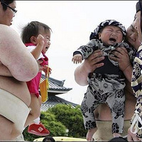 �ձ�Ӥ����޴������������۱���һ���