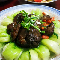 �ڹ����ѧ����