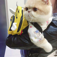 �����Ƿ����Լҳ���ĸ��ֵ�һ�����������ľ���~~ ��