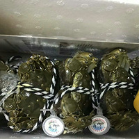 �����ˬ��з�ʸ�죡