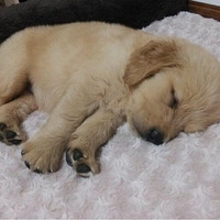 �Ҽҵ�����Ϸ��������¼����һ�����ڵ��ճ�