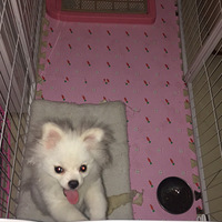 ����С�������������������