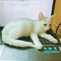 ����ˮ�����Ҿ������ǣ��������������²��£�