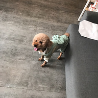 ���ҼҶ����Ҹ�ϱ��