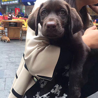 ���Ҽ��ɿ���ɫ������������ϱ��