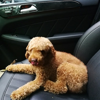 ������Ѱ�����£����ܹܰ��Ҷ�һ�£�