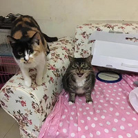 �ٲ���������������ͳͳ��������