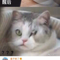 ���ë��������������ʲô�������£������Ҳ�Ҫ�����գ�