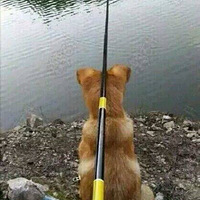 ������ʹ�ô�ȫ���Ͻ�ѧ������������