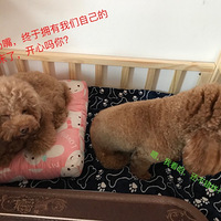 ���˸����������......