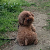 ̩�Ϲ���������