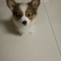 ������¼һ���Ҽ�С���ȵ���������