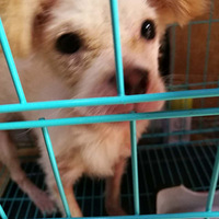 С����������������Ȥ�Ŀ����ϵ��Ŷ