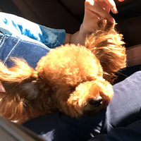 �������μǡ�����������ѩɽ����СС�������м�