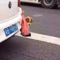 ������Ѽ�������������һ��ͼ�Ǹ�ʲô��