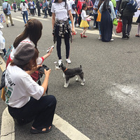 �������μǡ�������죬�����Ư���ഺ