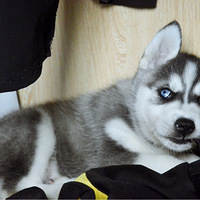 ɹɹ�ҼҶ���һһ��ç