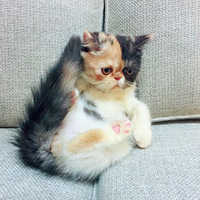 �����ӷ����ã�������Ҹ�����