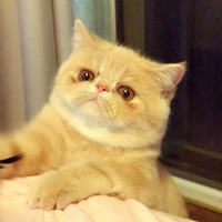 ���ʼ���