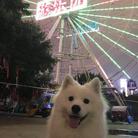 �����������ͯ��Ħ���ֹر��ˣ�������ĩ��