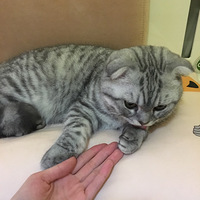 ���Ҽ���˿�����Ҹ�ϱ������