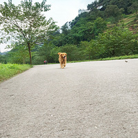 ���õĕr�򣬿϶�Ҫ��������