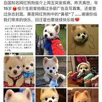 �ձ����ɰ��Ŀ��鱦�����ˣ�����15�ꡣ