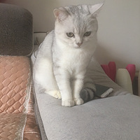 �Ұ��Ұ�����ϱ��