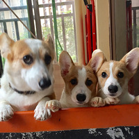 �������μǡ������һ��ĳ����ճ�