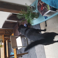 ��ʹ�η����꣬Ҳ��ֹ�������������ɣ�