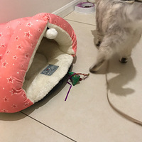 �ŷ����ճ�------��������