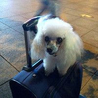 �山�˺ͻ��ĳ���ʧ�����ɫ��߹�����ͻ��ؽ��л