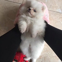 С���б��μ�