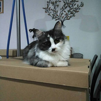 è����������