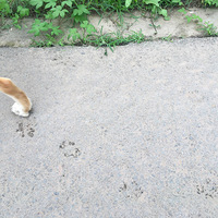 һ���ȥ�ŷ��L