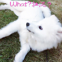 �Ҽ���Ħ�ı���� ��ӭΧ��