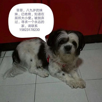 ϣ���к����˿��Ը�ë������һ����