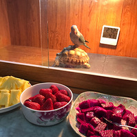 �ҼҵĶ���԰