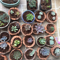 ���������