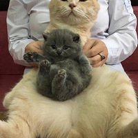 ����ֻһ���±Ƶ��ϰְֵ������ˣ�һ���Ĳ����ϰ���������