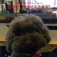 �������ӵ��ճ�����˯��ƪ����ƫ�棩