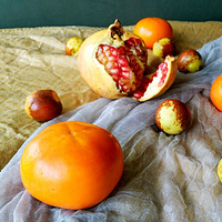 10.28-11.02�����