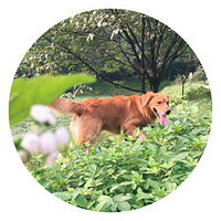 �����Ǳ��������