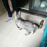 ľ�б�������