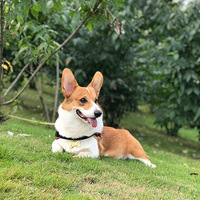 ��ô�õ���������Ӧ�ó�ȥ��