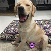 ������ �����˹����֮ǰ���˺ŵ�¼������