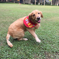 �@�e���Ӻܶ�