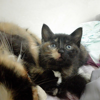 ��ֵ�ߣ�ǰ;һ�����ã���������������кù�����