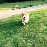 �������ճ�